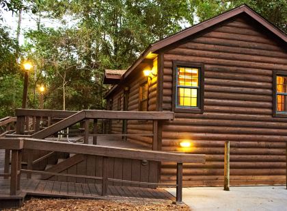 더 캐빈스 앳 디즈니스 포트 윌더니스 리조트