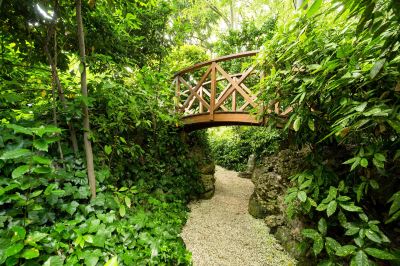 庭 グランド ホテル デイ ドージ ザ デェディカ アンソロジー オートグラフ コレクションの写真