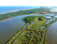 Lovely Flat with Pool-Beahost Các khách sạn ở Rosolina