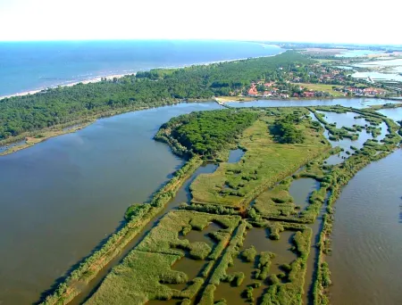 Cozy Flat in a Bright Residence-Beahost