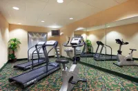 Holiday Inn Express & Suites LENOIR CITY (KNOXVILLE AREA) by IHG - Gym