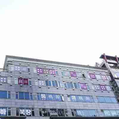 潘多拉飯店 Hotel Exterior