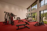 The Fern Heaven on the Hills Hatgad-Saputara, Series by Marriott - Gym