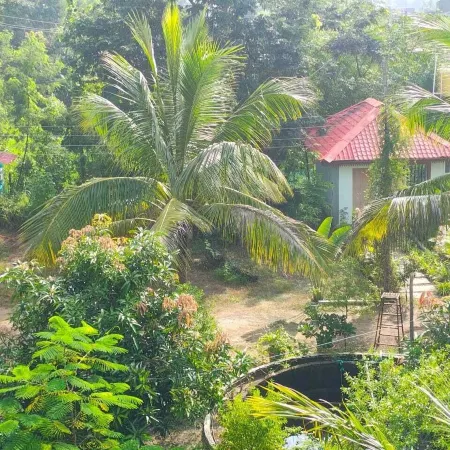 Shivansh Agro Tourism And Home stay