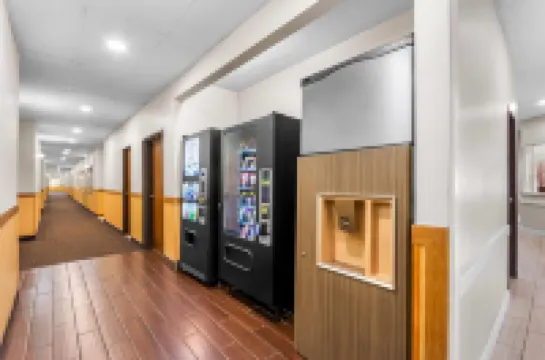 Super 8 by Wyndham Bloomington University Area