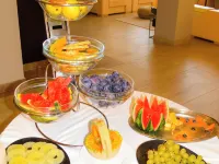 Hotel Villa MiraMar Hotels in Omiš