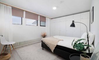 Spacious 1BR Apt. near the city center