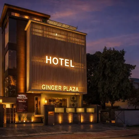 Hotel Ginzer Plaza by Aspl Отели в г. Ноида