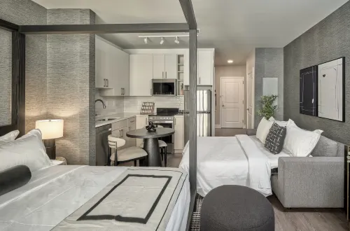 Designer Luxury in Center City