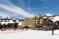 Elevation Hotel & Spa - Pet friendly