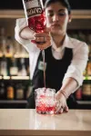 Just Hotel Lomazzo - bar