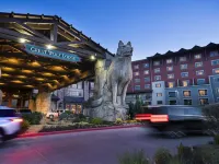 Great Wolf Lodge Grapevine Hotels in Grapevine