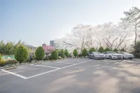 경주 브라운도트 경주보문점 - 주차장