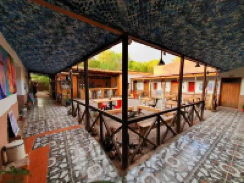 Vientos - la Yareta