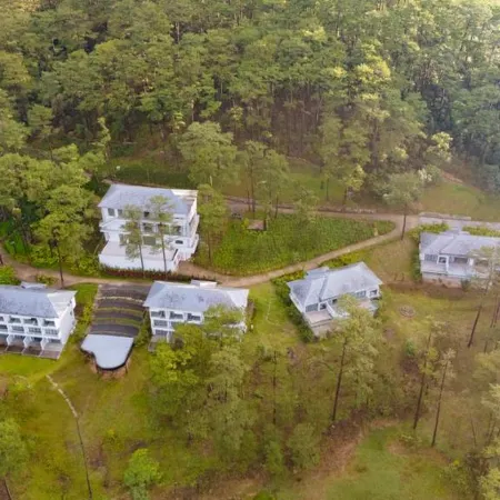 HAVEN IN THE PINES