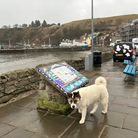 Harbour Hoose - Stonehaven Отели в г. Стонхейвен