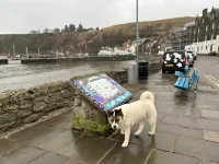 Harbour Hoose - Stonehaven - 3-Star
