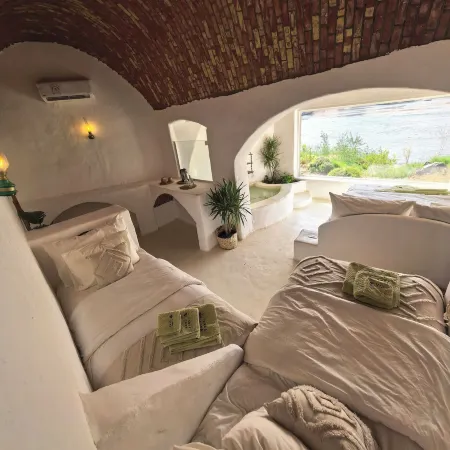 Nala Narty Nubian house and organic farm