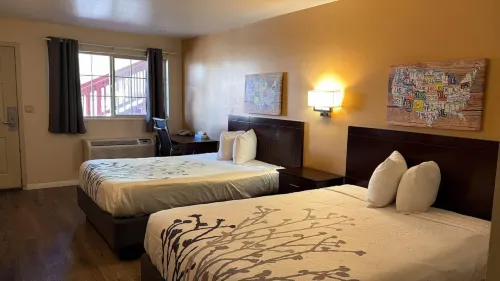 Econo Lodge Inn & Suites Montrose - Black Canyon Area - Kæledyr tilladt