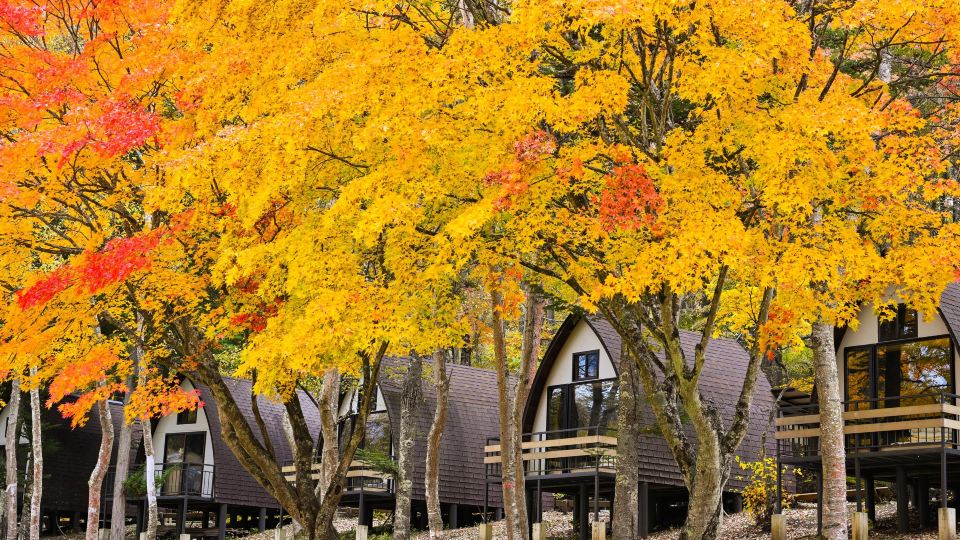 Tiny Garden Tateshina- Camp, Lodge & Cabins -