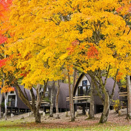 Tiny Garden Tateshina- Camp, Lodge & Cabins -