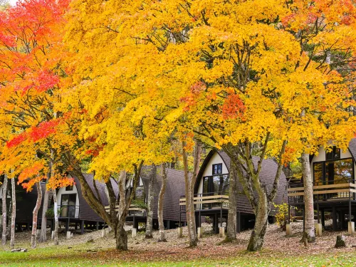 Tiny Garden Tateshina- Camp, Lodge & Cabins - - 3-Star