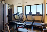 NALU Latchi Leonardo Limited Edition - Gym