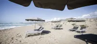 アドラー シチリア - 高級