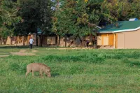 Basecamp Resort Mweya - Wifi