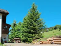 Luca Hotels in Ortisei