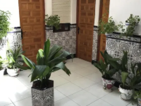 Pension Los Molinos Hotels in Campo de Calatrava