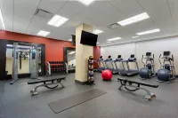Hampton Inn Manhattan/Times Square Central - Servicios de Traslado