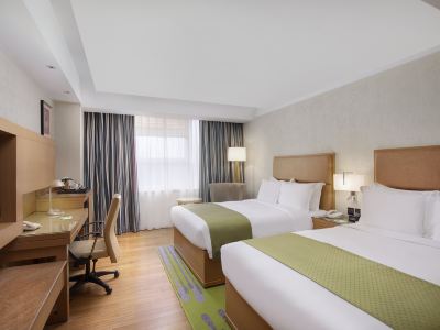 Ion Hotel