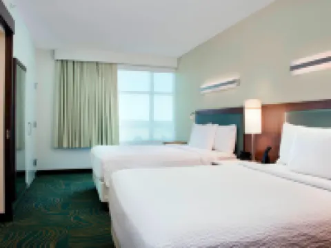 SpringHill Suites Orlando at Flamingo Crossings® Town Center/Western Entrance Hotels in Bay Lake