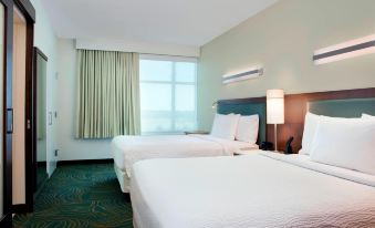 SpringHill Suites by Marriott Orlando at Flamingo Crossings Town Center-Western Entrance