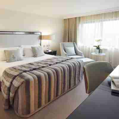 布里斯託爾酒店 Rooms