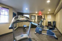 Holiday Inn Express MOUNTAIN VIEW - S PALO ALTO by IHG - Gym