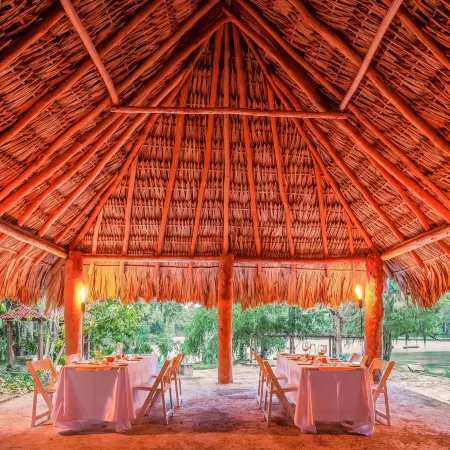 The Explorean Selva Maya Kohunlich