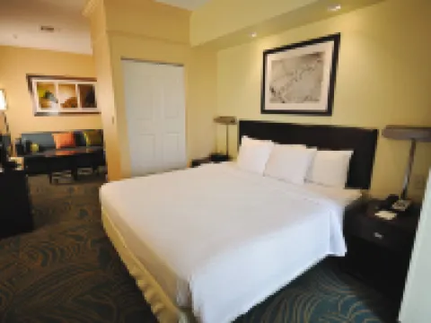 加爾維斯頓島萬豪SpringHill酒店 鄰近慕迪花園主題樂園的酒店