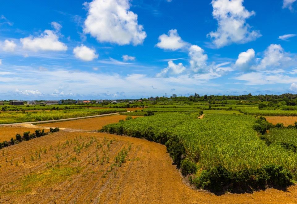 미스터 킨조 해피니스 리조트 2