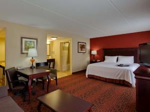 Hampton Inn Rochester-Webster