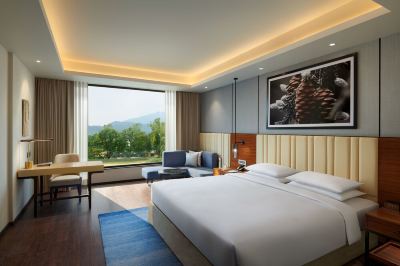 Deluxe Room, 1 King Bed (Club Access) Hyatt Regency Dehradun Photo