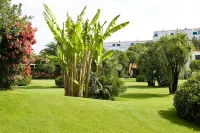 Marina Club Hotel