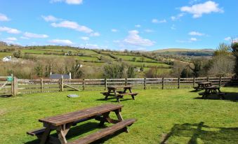 a grassy field with several picnic tables set up in the middle , surrounded by trees and a hill at The Mary Tavy Inn