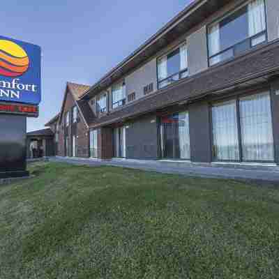 Comfort Inn Corner Brook Hotel Exterior