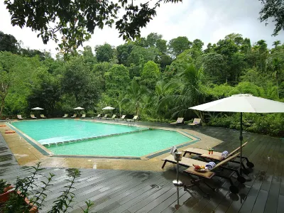 Vythiri Village Hotels near Kakkadampoyil.hills view vythiri