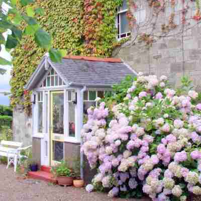 Carlton Seamill B&B Hotel Exterior