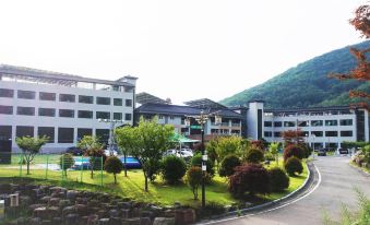 Sancheong Korean Medicine Family Hotel