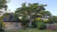 Awelani Lodge Hotel di 