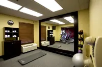 Hampton Inn Atlanta/Newnan - Gym